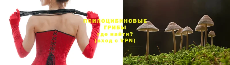 Галлюциногенные грибы Psilocybine cubensis  shop формула  Барыш 